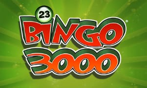 Bingo 3000 Game Image